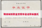 柳州城市职业学院毕业证样本图片