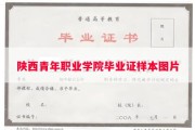 陕西青年职业学院毕业证样本图片