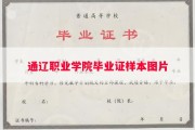 通辽职业学院毕业证样本图片