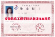 安徽信息工程学院毕业证样本图片