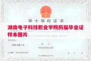 湖南电子科技职业学院历届毕业证样本图片