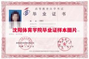 沈阳体育学院毕业证样本图片