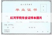 红河学院毕业证样本图片