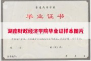 湖南财政经济学院毕业证样本图片
