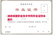 湖南城建职业技术学院毕业证样本图片