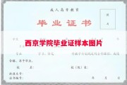 西京学院毕业证样本图片