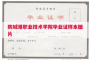 防城港职业技术学院毕业证样本图片