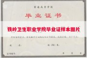 铁岭卫生职业学院毕业证样本图片