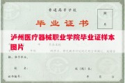 泸州医疗器械职业学院毕业证样本图片