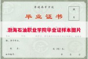 渤海石油职业学院毕业证样本图片