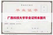 广西科技大学毕业证样本图片