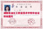 湖南石油化工职业技术学院毕业证样本图片