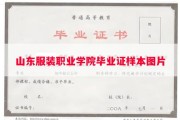 山东服装职业学院毕业证样本图片