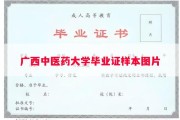 广西中医药大学毕业证样本图片