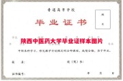 陕西中医药大学毕业证样本图片
