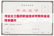 河北化工医药职业技术学院毕业证样本图片