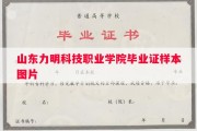 山东力明科技职业学院毕业证样本图片