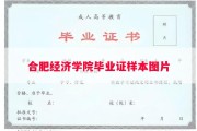 合肥经济学院毕业证样本图片
