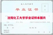 沈阳化工大学毕业证样本图片