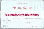 哈尔滨医科大学毕业证样本图片