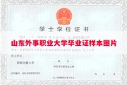 山东外事职业大学毕业证样本图片