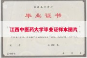 江西中医药大学毕业证样本图片
