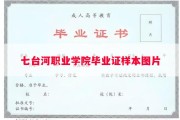 七台河职业学院毕业证样本图片