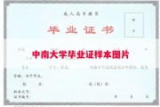 中南大学毕业证样本图片