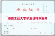 湖南工业大学毕业证样本图片