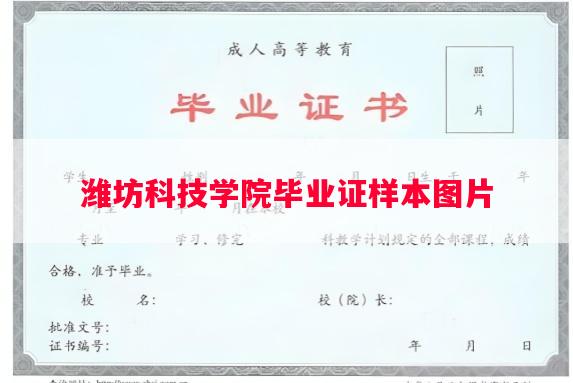 潍坊科技学院毕业证样本图片