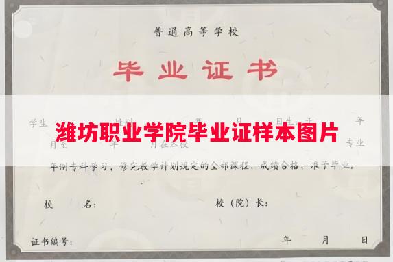 潍坊职业学院毕业证样本图片