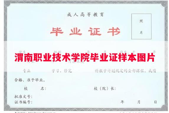 渭南职业技术学院毕业证样本图片