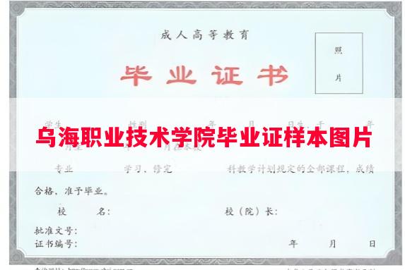 乌海职业技术学院毕业证样本图片