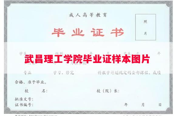 武昌理工学院毕业证样本图片