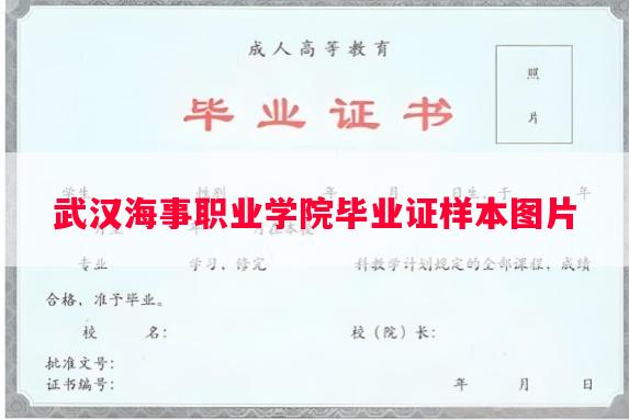 武汉海事职业学院毕业证样本图片