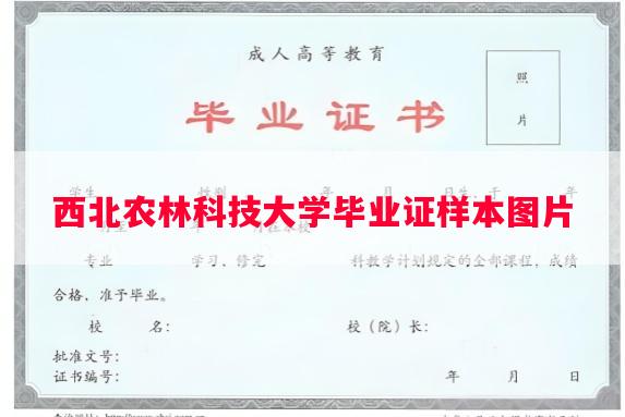 西北农林科技大学毕业证样本图片