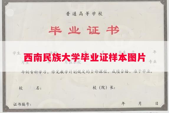 西南民族大学毕业证样本图片