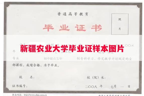 新疆农业大学毕业证样本图片