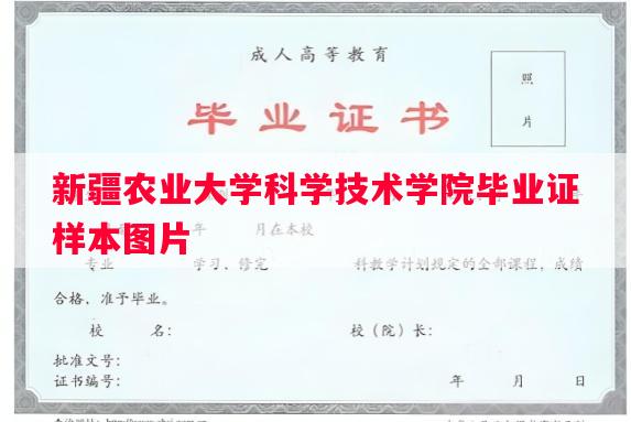 新疆农业大学科学技术学院毕业证样本图片