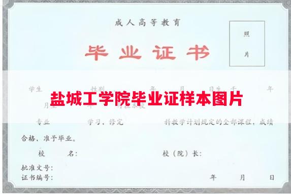 盐城工学院毕业证样本图片