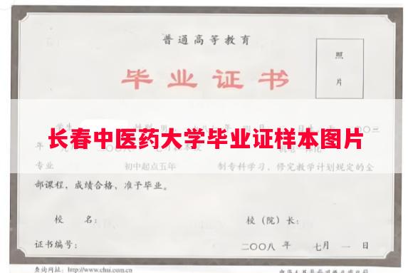 长春中医药大学毕业证样本图片