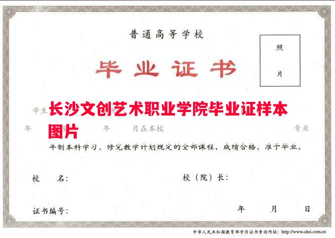 长沙文创艺术职业学院毕业证样本图片