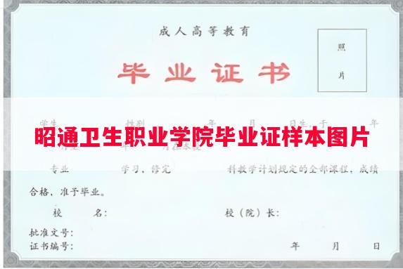昭通卫生职业学院毕业证样本图片