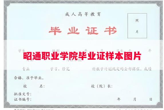 昭通职业学院毕业证样本图片