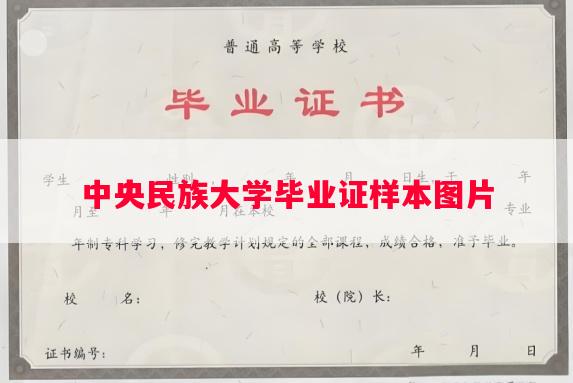 中央民族大学毕业证样本图片
