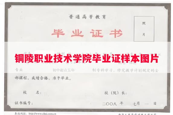 铜陵职业技术学院毕业证样本图片