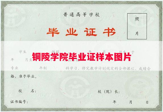 铜陵学院毕业证样本图片