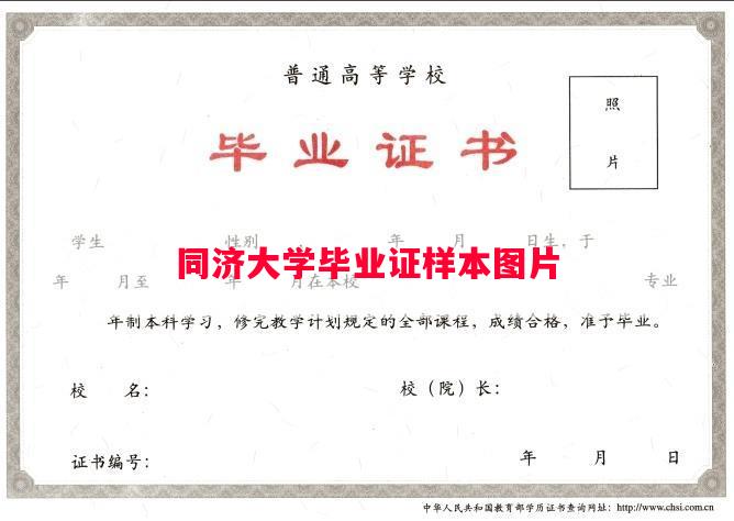 同济大学毕业证样本图片