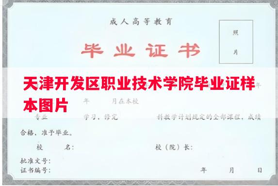 天津开发区职业技术学院毕业证样本图片