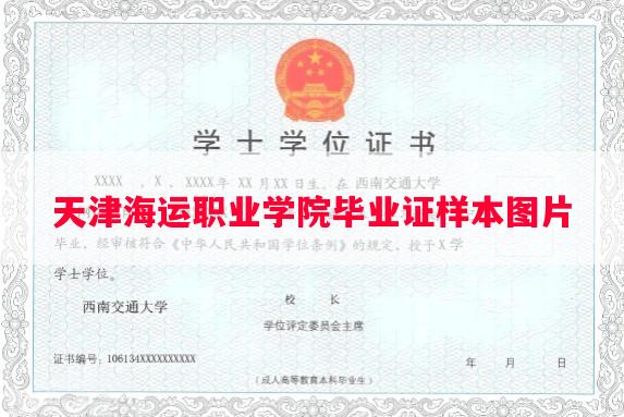 天津海运职业学院毕业证样本图片